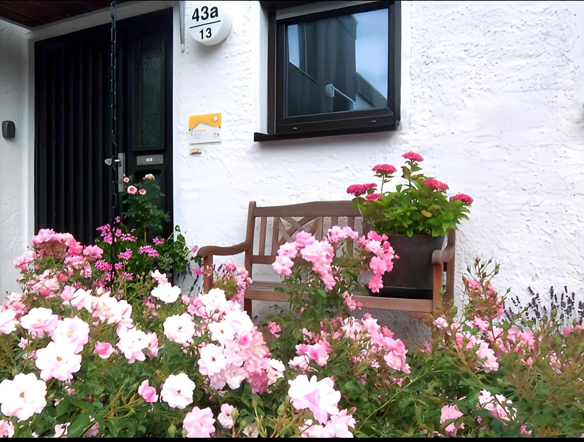 Lodge 2 Bad Harzburg Eksteriør billede